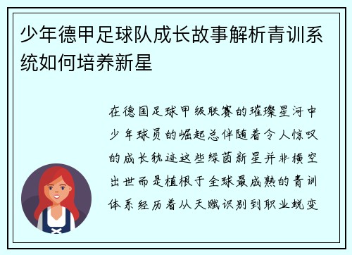 少年德甲足球队成长故事解析青训系统如何培养新星