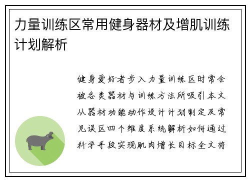 力量训练区常用健身器材及增肌训练计划解析